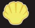 SG SHELL